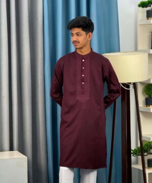 Elegant Embroidery Panjabi (EEP-6)